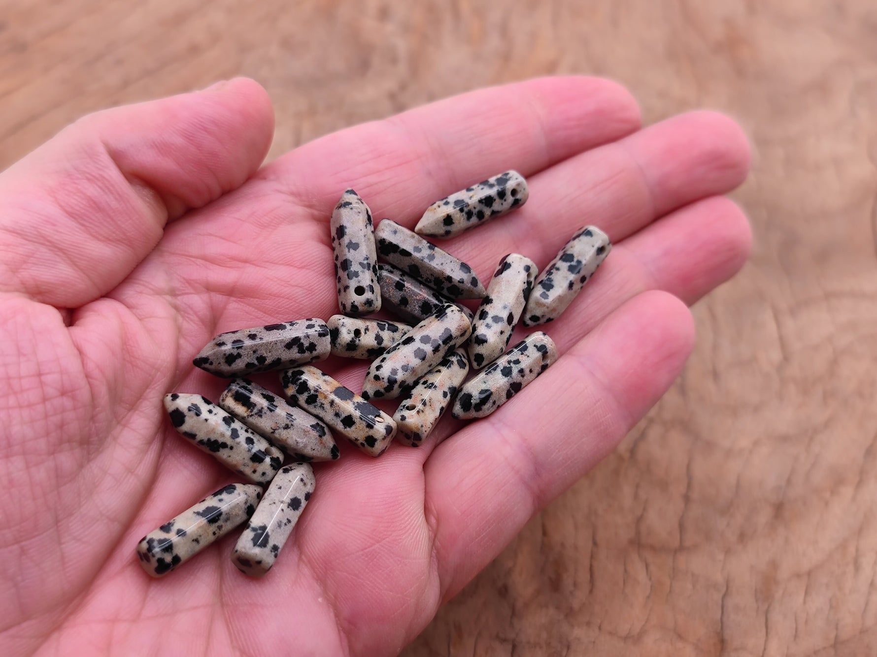 Dalmatian Jasper crystal point pendant with drilled hole, showcasing black and tan spotted mineral gemstone, by GemstoneGO.