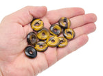 Tiger Eye crystal donut pendant from GemstoneGO, 20mm Pi stone with rich golden-brown chatoyancy and smooth polished surface.