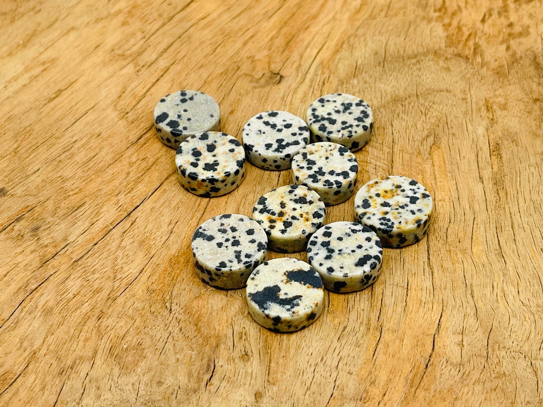 Round Dalmatian Jasper flat gemstone slab from GemstoneGO showing black and cream spotted pattern on polished surface.
