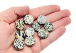 Round Dalmatian Jasper flat gemstone slab with black spots on a beige background, showcasing natural stone pattern and smooth surface.