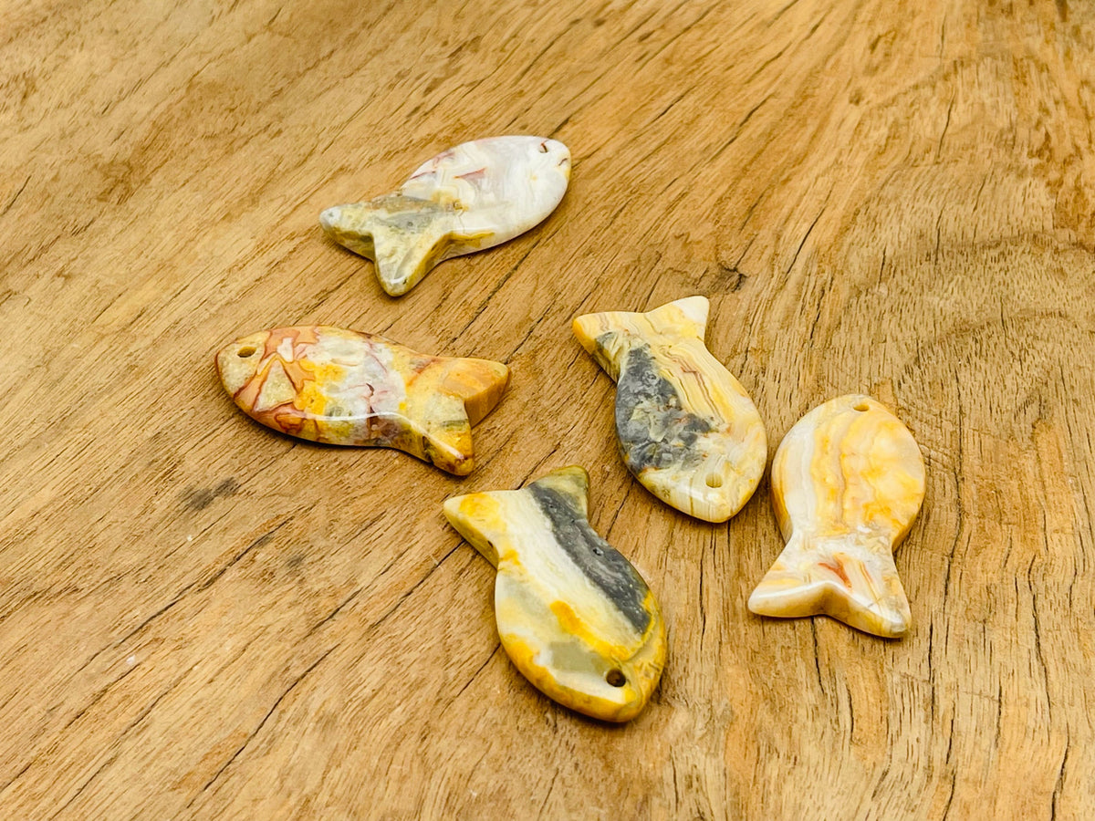 Crazy Lace Agate fish-shaped gemstone pendant with Pisces zodiac hole, featuring vibrant colorful patterns by GemstoneGO.