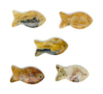 Crazy Lace Agate fish pendant with Pisces zodiac hole crystal gemstone, featuring vibrant colors and intricate gemstone details.