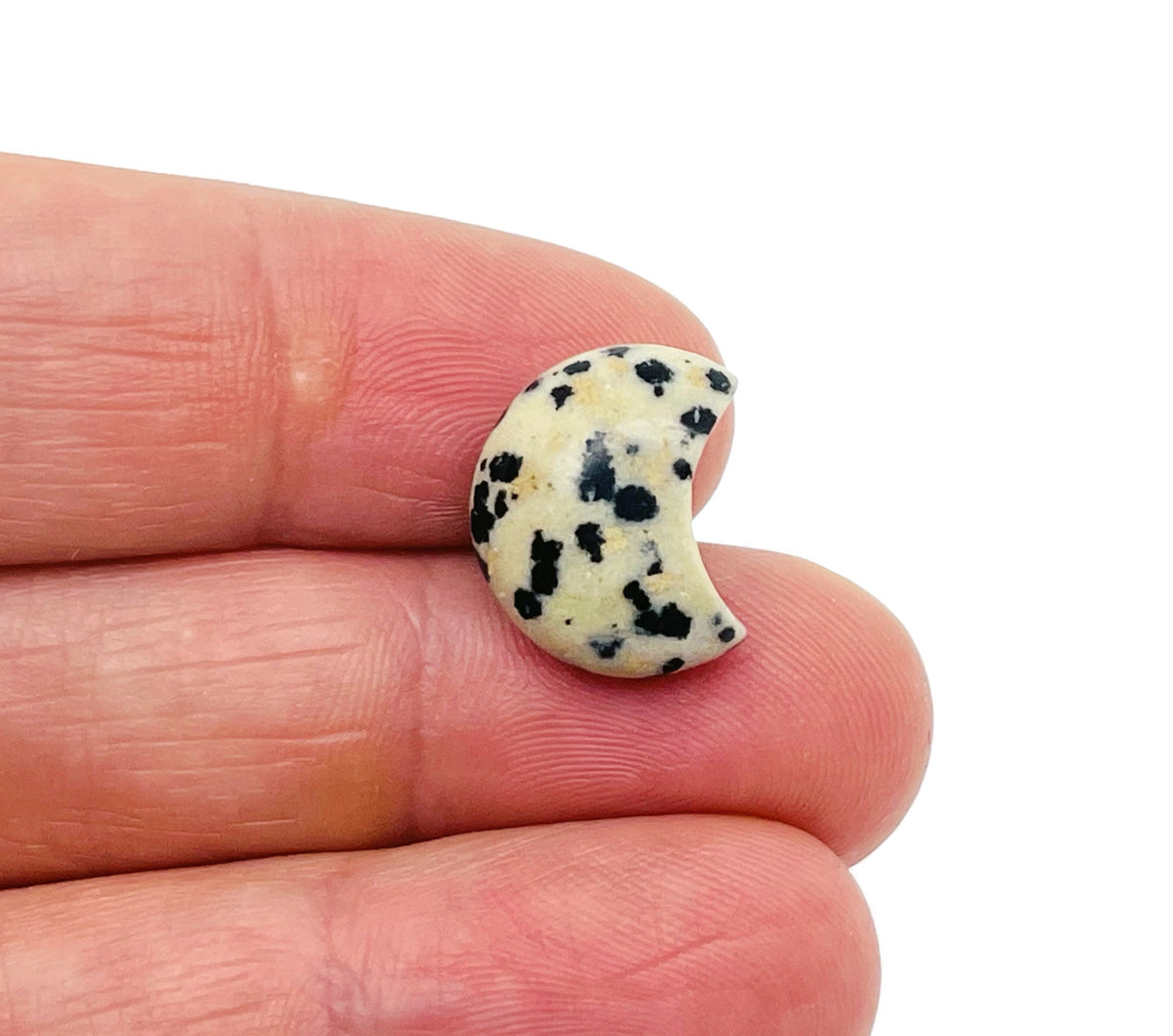 Dalmatian Jasper gemstone moon puffy bead, 15x9mm, from GemstoneGO, featuring black spots on creamy beige stone.