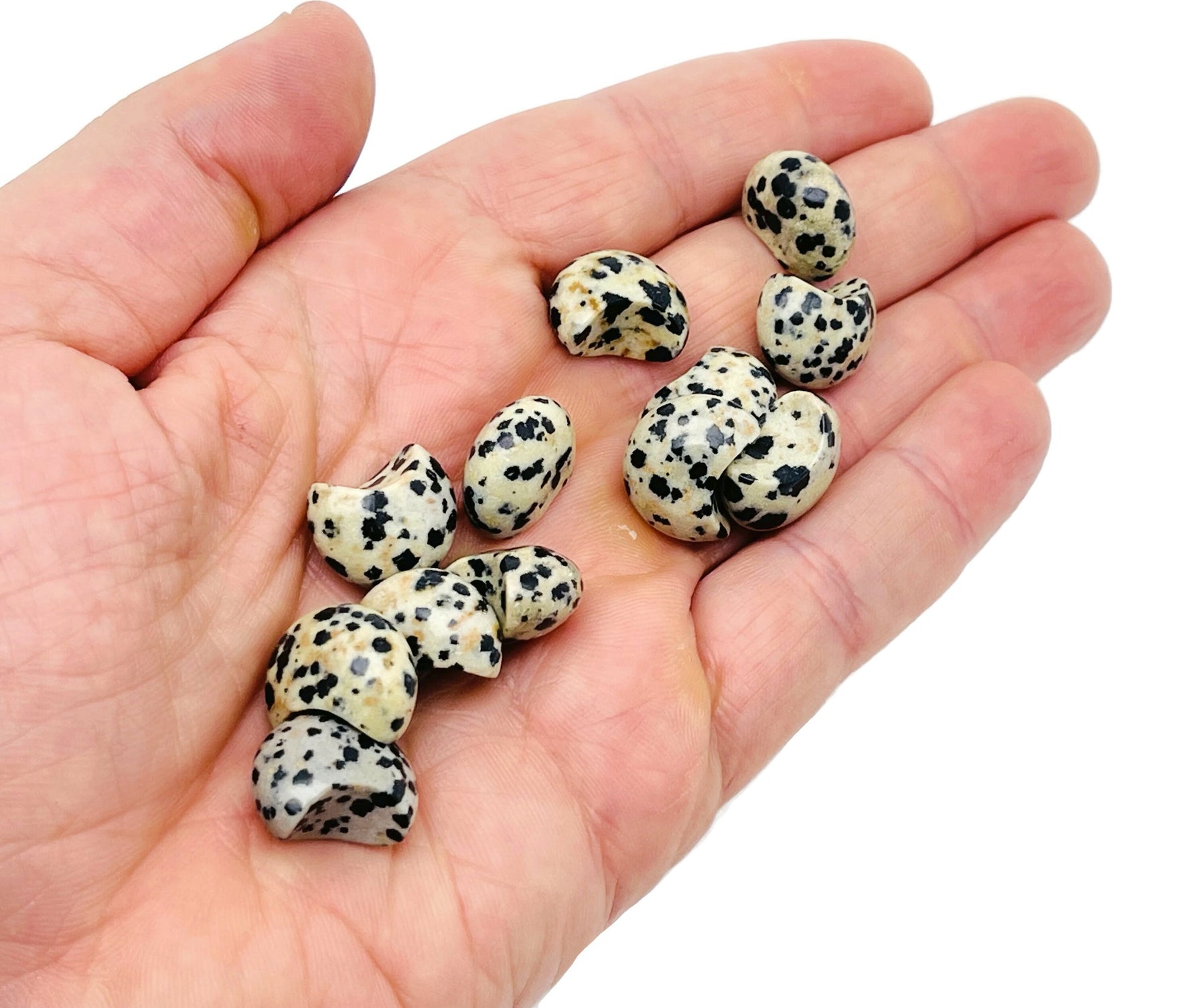 Dalmatian Jasper gemstone moon puffy cabochon, 15x9mm, featuring black spots on cream background, from GemstoneGO.