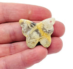 Crazy Lace Agate butterfly gemstone pendant from GemstoneGO, featuring colorful lace patterns on a crystal pendant with a hole for jewelry.