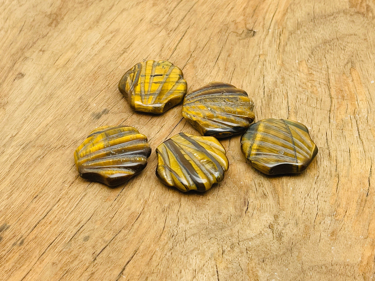 Tiger Eye sea shell carving gemstone, 30mm, showcasing intricate natural patterns and warm earthy tones.