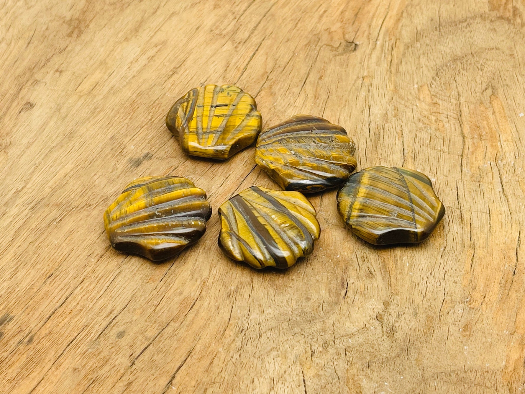 Tiger Eye sea shell carving gemstone, 30mm, showcasing intricate natural patterns and warm earthy tones.