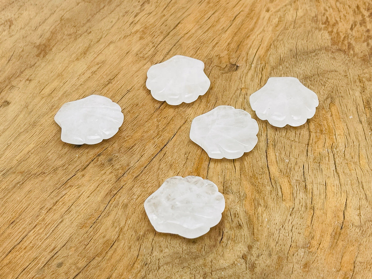 Clear quartz sea shell carving gemstone, 30mm, from GemstoneGO, showing intricate shell details and polished surface.