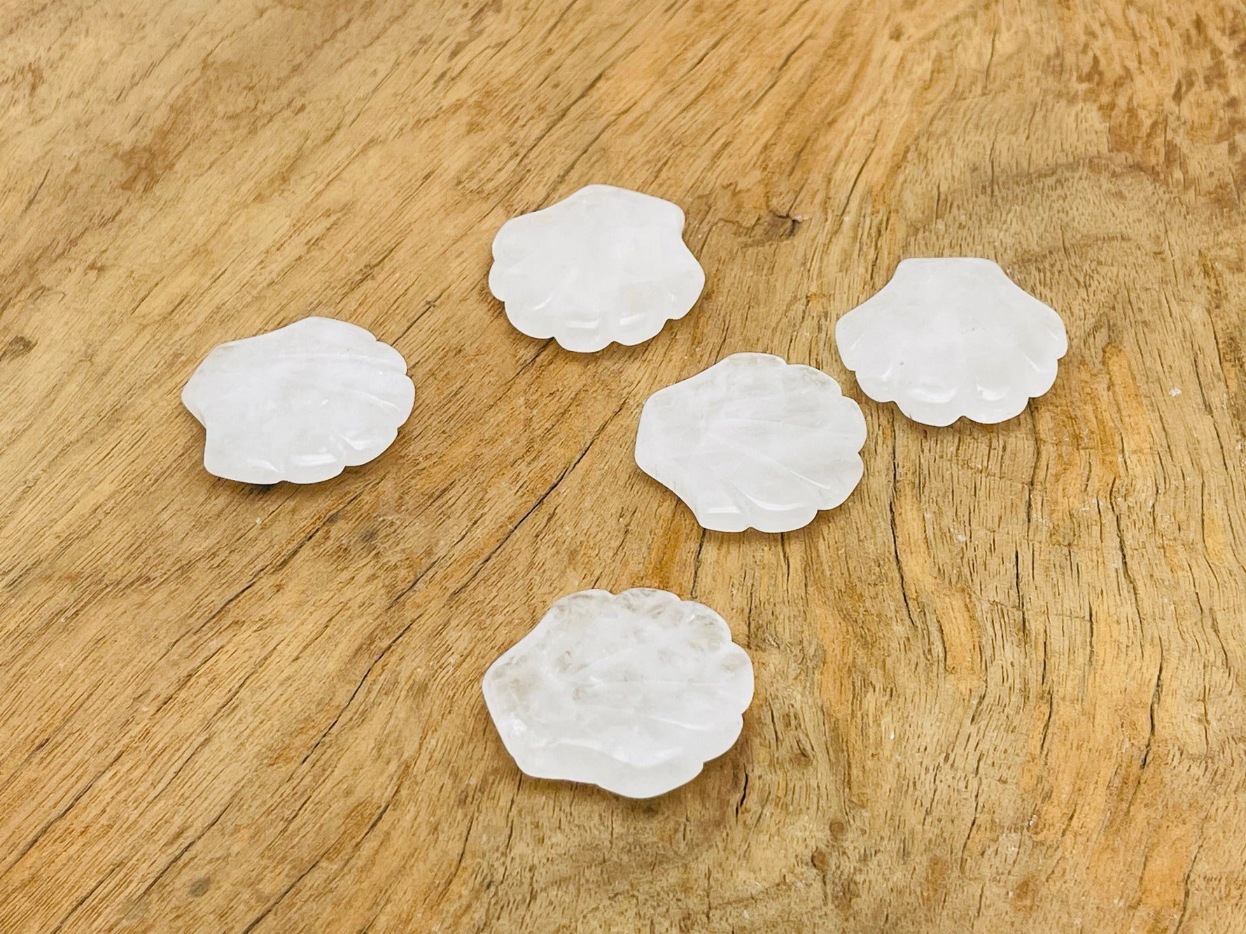 Clear quartz sea shell carving gemstone, 30mm, from GemstoneGO, showing intricate shell details and polished surface.