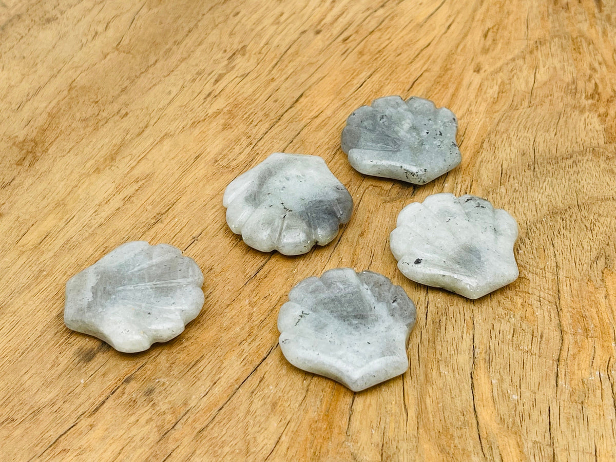 Labradorite sea shell carving gemstone from GemstoneGO, 30mm, showcasing iridescent labradorite with shell pattern details.