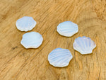 Opalite sea shell carving gemstone, 30mm, from GemstoneGO, showcasing a smooth, polished shell shape with luminous opalite details.