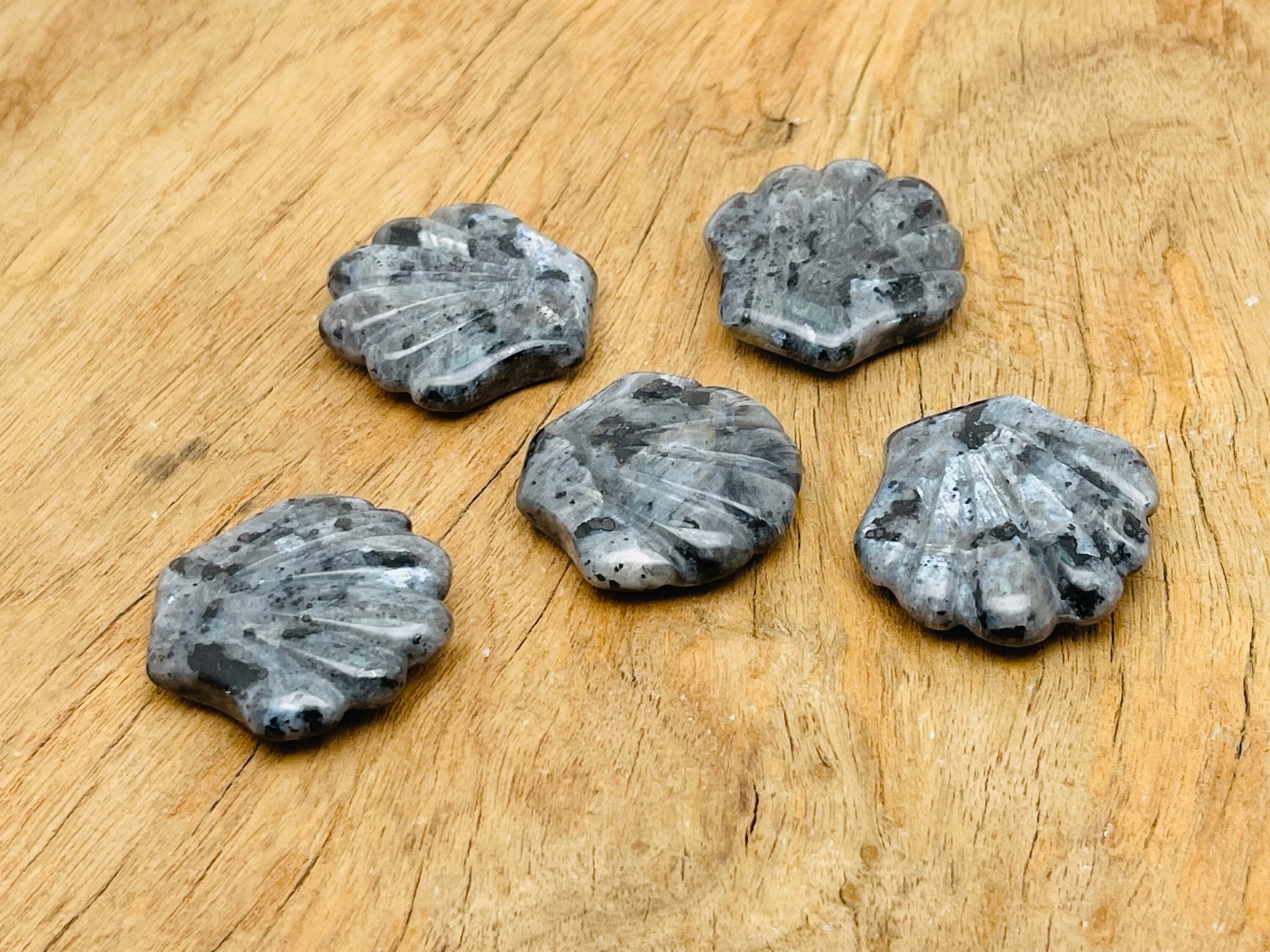 Larvikite sea shell carving gemstone, 30mm, with intricate shell pattern and polished surface, from GemstoneGO.