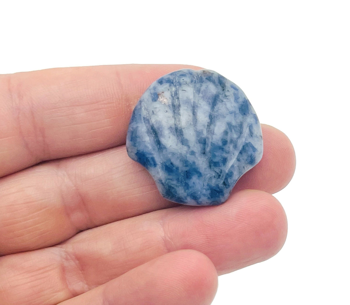 Sodalite sea shell carving gemstone, 30mm, shown with intricate blue and white patterns, crafted by GemstoneGO.