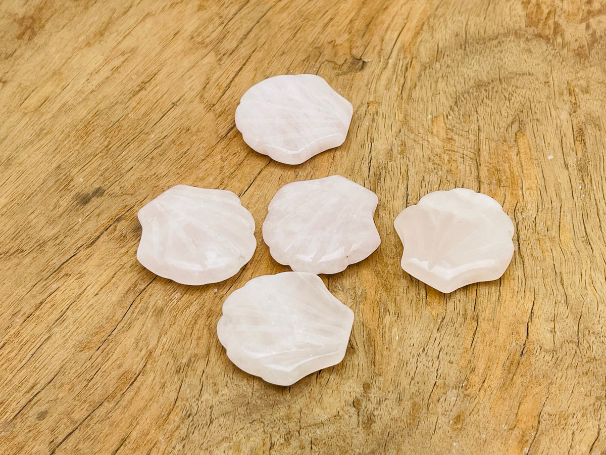 Rose quartz sea shell carving gemstone, 30mm, with intricate shell details, from GemstoneGO, showcasing natural pink color and craftsmanship.