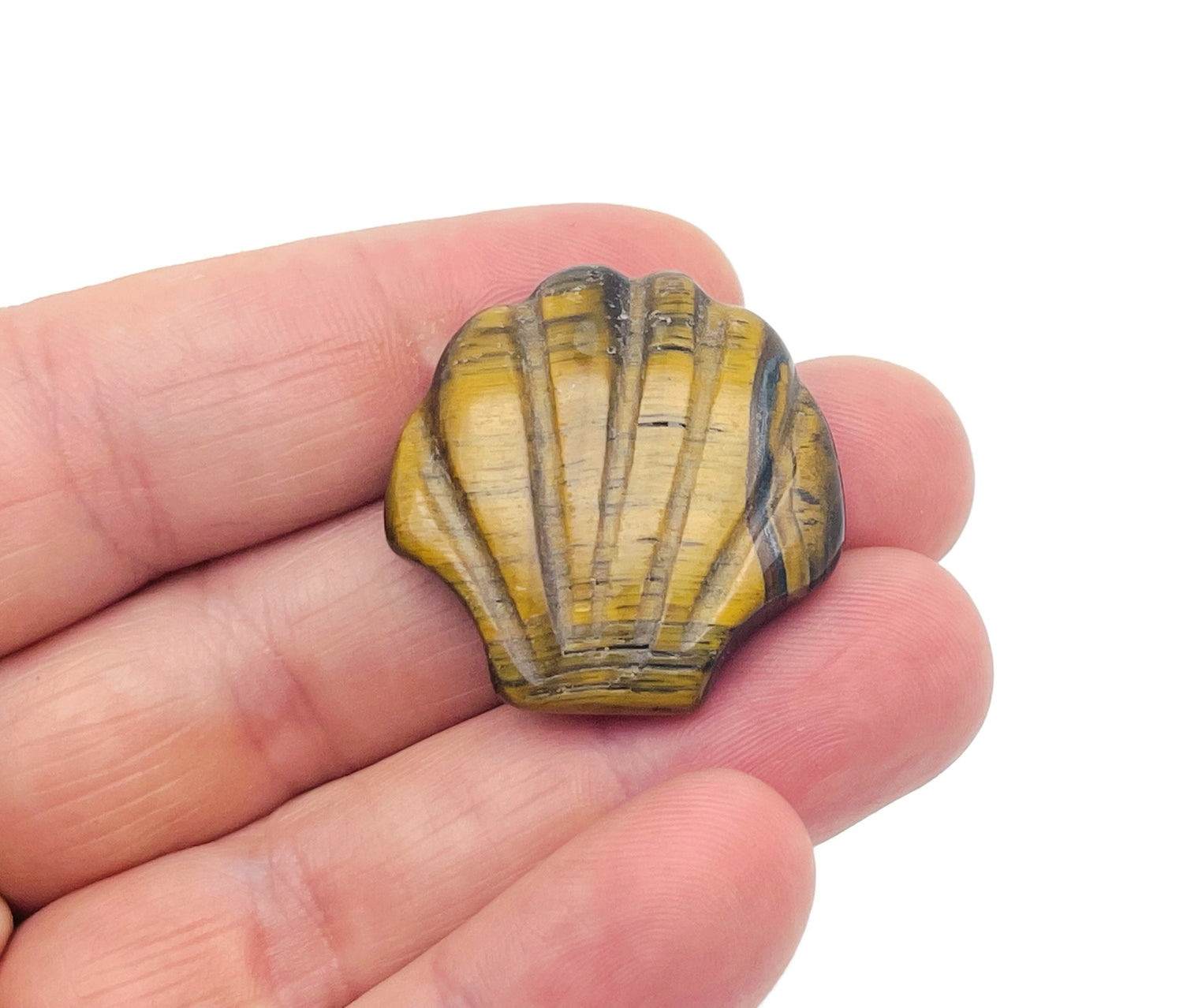 Tiger Eye sea shell carving gemstone from GemstoneGO, 30mm size, showing detailed natural tiger eye and shell patterns.