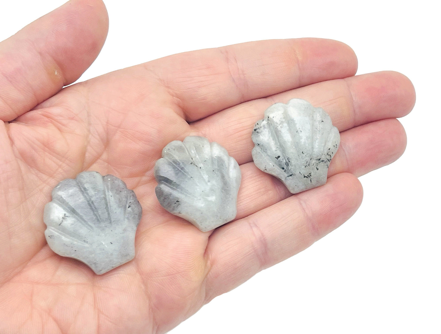 Labradorite Sea Shell Carving Gemstone - 30mm - SS1006