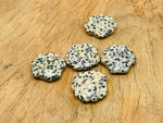 Dalmatian Jasper sea shell carving gemstone, 30mm, with distinctive black spots on cream background, crafted by GemstoneGO.