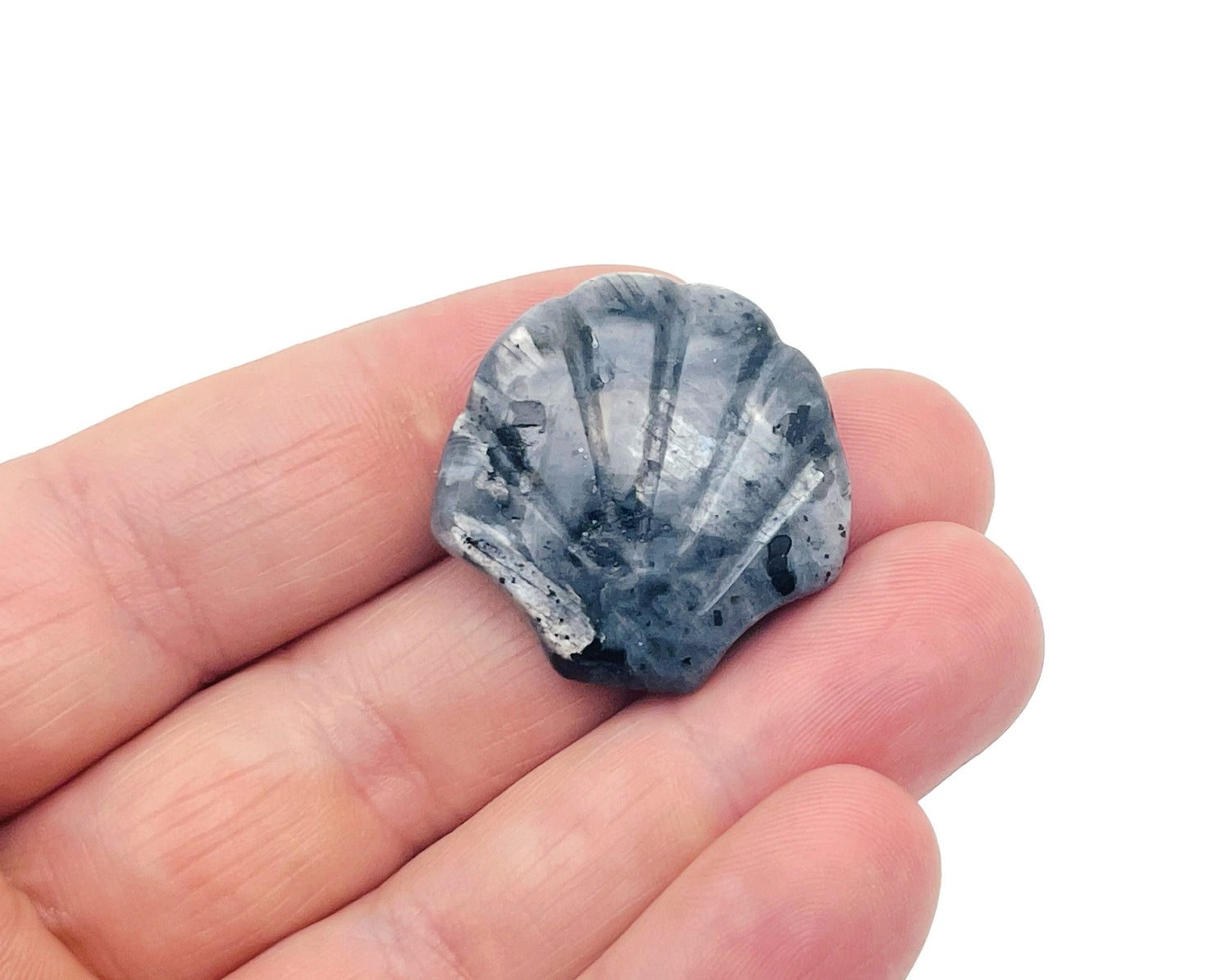 Larvikite Sea Shell Carving Gemstone- 30mm - SS1009