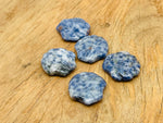 Sodalite sea shell carving gemstone 30mm from GemstoneGO, featuring deep blue and white natural stone with shell pattern details.