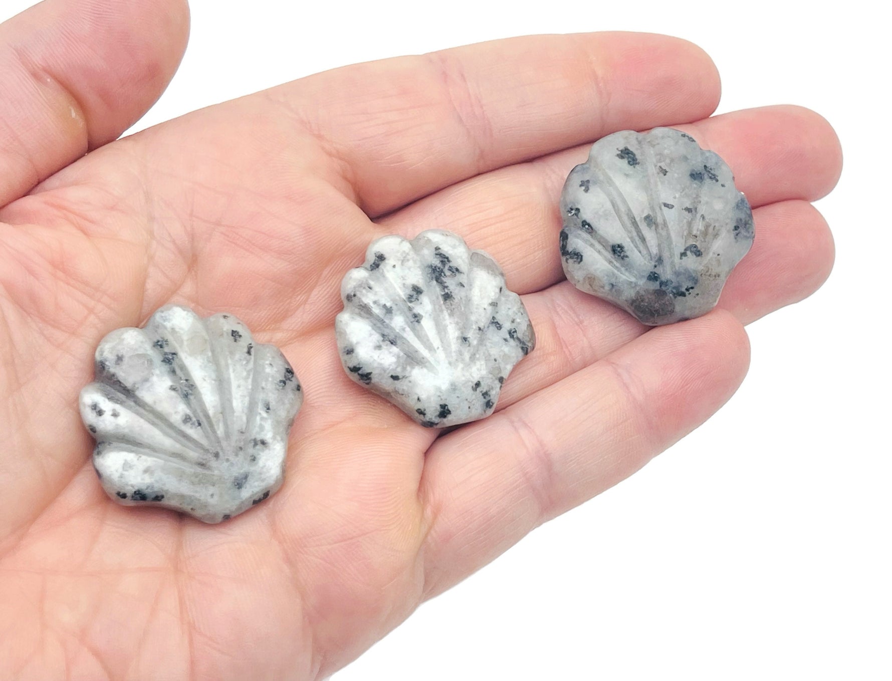 Kiwi Jasper sea shell carving gemstone 30mm from GemstoneGO, showcasing intricate shell design and vibrant natural colors.