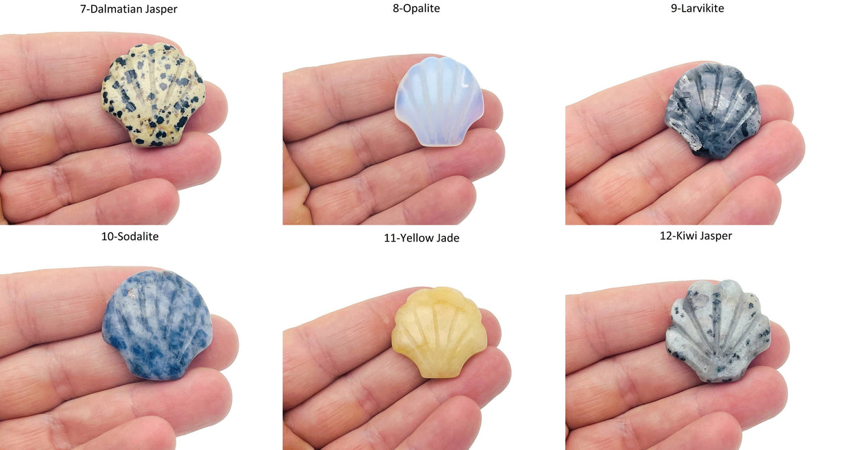 Sea shell carving gemstone from GemstoneGO, 30mm mixed gemstone shell for jewelry making, detailed natural shell design.