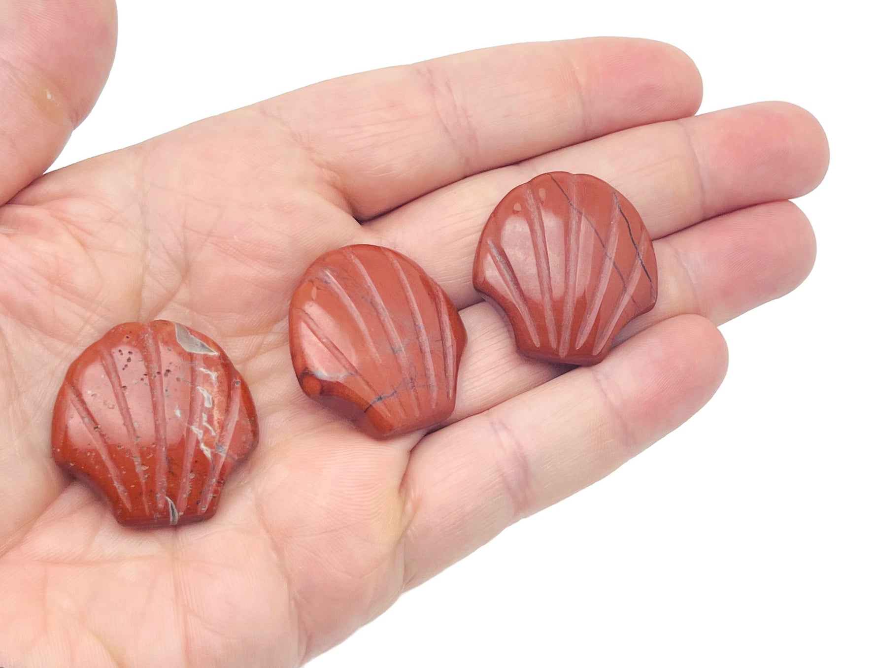 Sea shell gemstone carving by GemstoneGO, 30mm mixed gemstone shell for jewelry making, intricate natural shell design