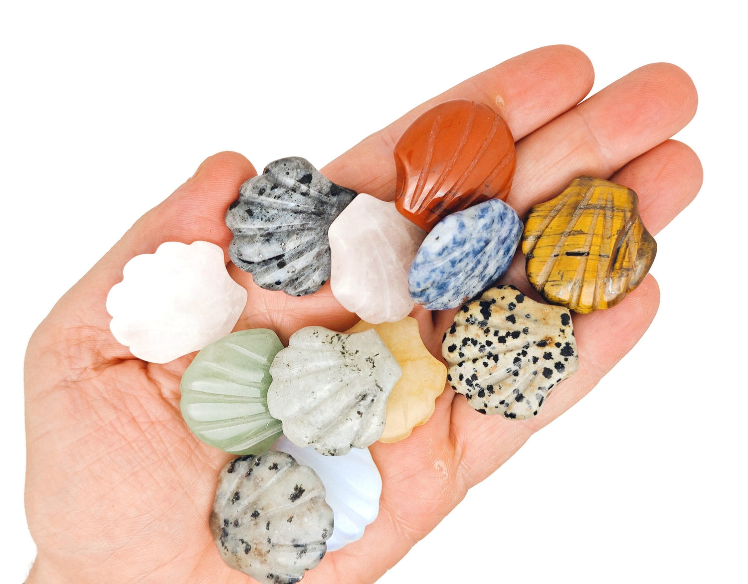 Coffret Mystère Cristal - Sculpture de Coquillage - 7 Pierres Précieuses Aléatoires - Lithothérapie - Cadeau Cristal Idéal - Cristaux Énergétiques - KIT10