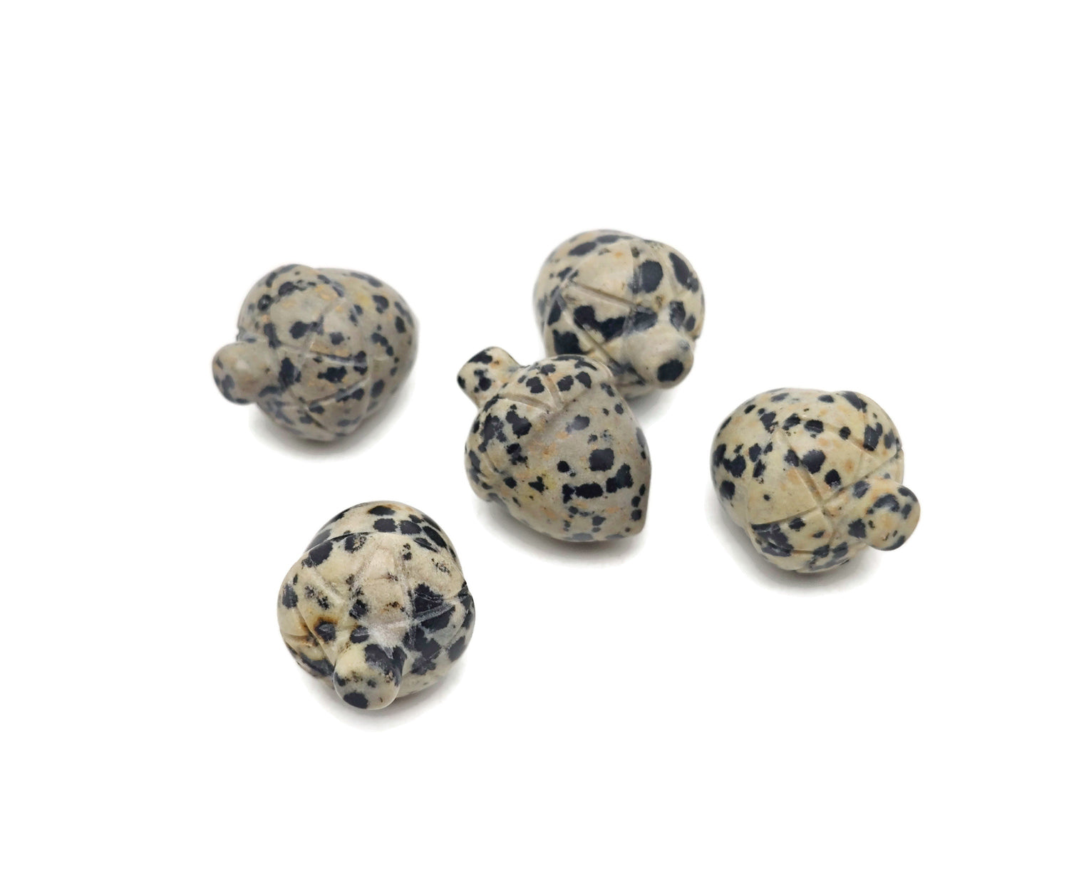 Dalmatian Jasper Crystal Acorn Carved Gemstone - Home Crystal Decoration - 26mm - AC1018