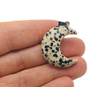 Dalmatian Jasper moon pendant with crescent shape from GemstoneGO, showcasing black and white spotted gemstone on a silver chain.