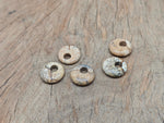 Picture Jasper crystal donut pendant from GemstoneGO, 18mm Pi Stone with natural earthy patterns and polished surface.