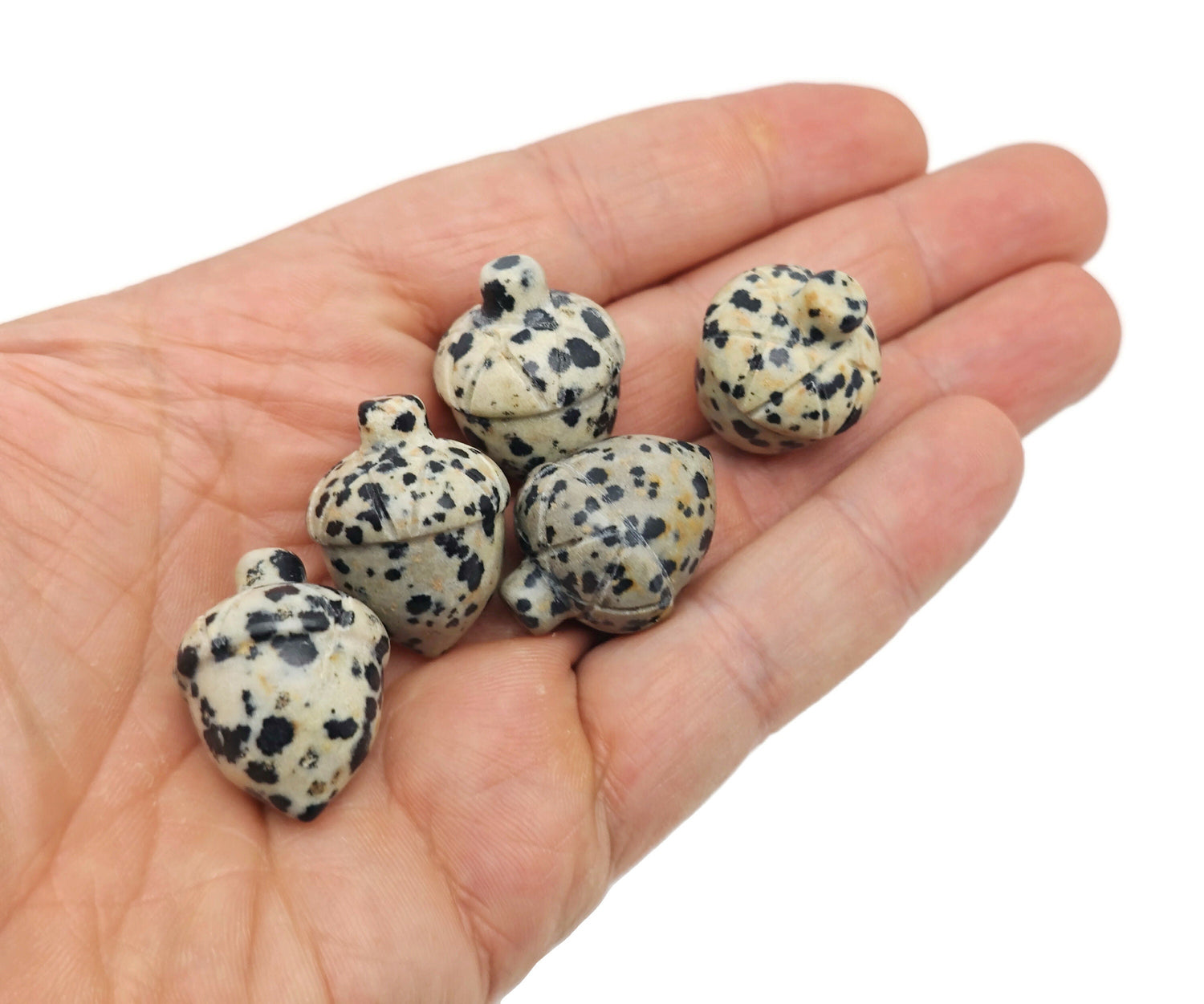 Dalmatian Jasper Crystal Acorn Carved Gemstone - Home Crystal Decoration - 26mm - AC1018