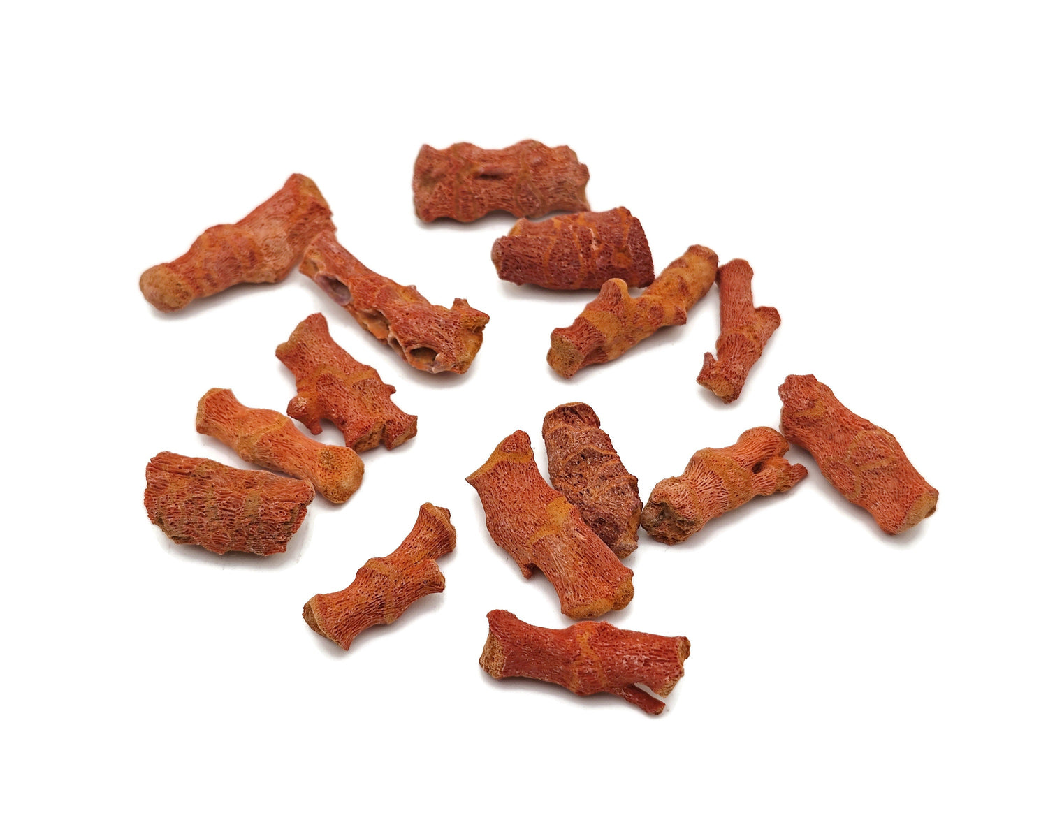 Corail rouge brut - Pierres de corail rouge - Pierres précieuses pour aquarium - Coraux en gros - FO1018