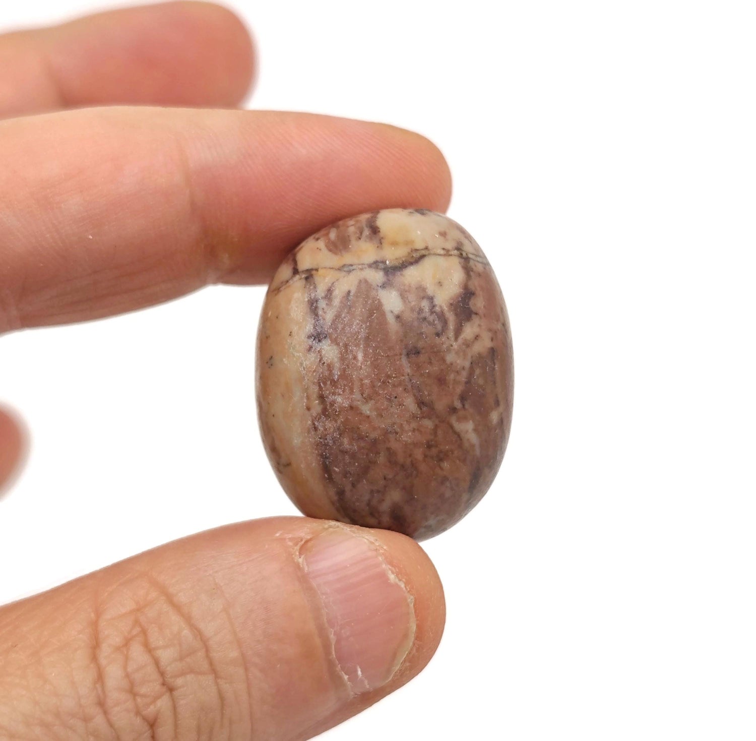 Pierre roulée en bois pétrifié ?€? Roche en bois fossilisé ?€? Bois fossilisé naturel ?€? Cristal pétrifié ?€? TU1318