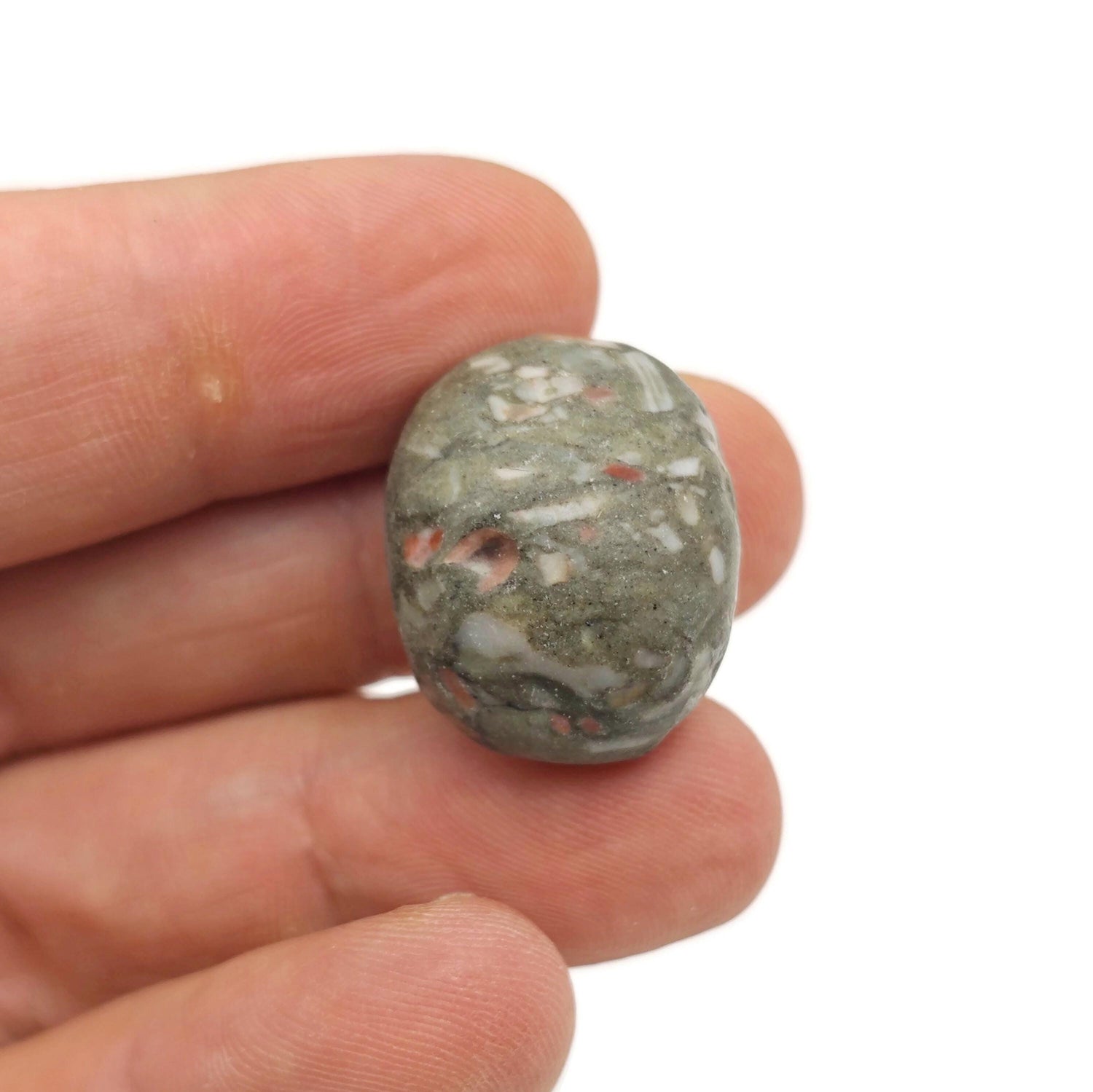 Pierre roulée fossilisée de crinoïde - Galet lisse et rond - Harmonie, protection et stabilité - Chakra racine - TU1324