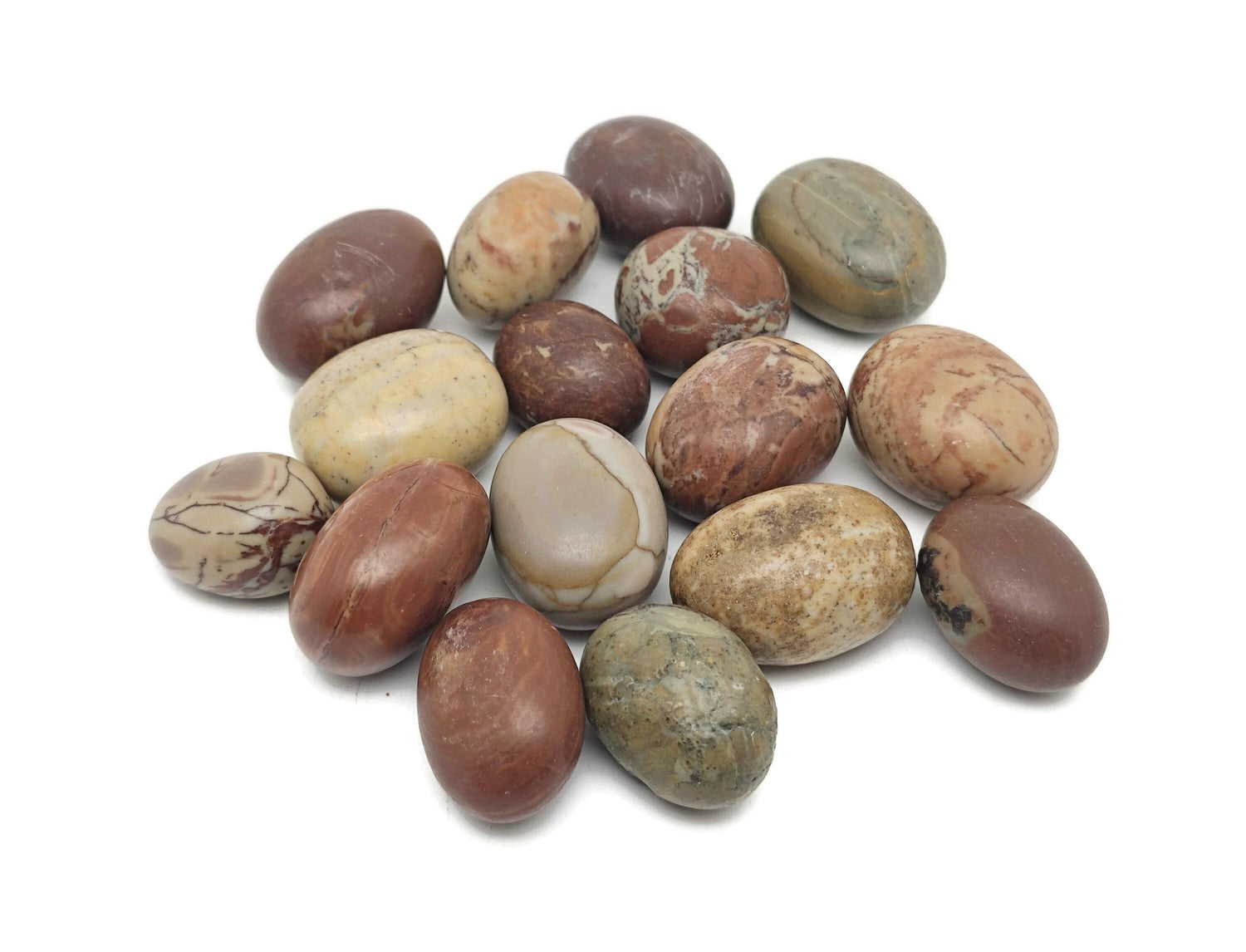 Pierre roulée en bois pétrifié ?€? Roche en bois fossilisé ?€? Bois fossilisé naturel ?€? Cristal pétrifié ?€? TU1318