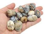 Cheetah Opal tumbled gemstone from Mexico featuring vibrant orange and black patterns, polished for jewelry or collection use.