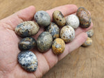 Cheetah Opal tumbled gemstone from Mexico with vibrant orange, black, and yellow patterns, polished for jewelry or collection.
