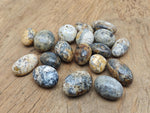 Cheetah Opal tumbled gemstone from Mexico, showcasing vibrant orange and black swirls in a smooth polished stone by GemstoneGO