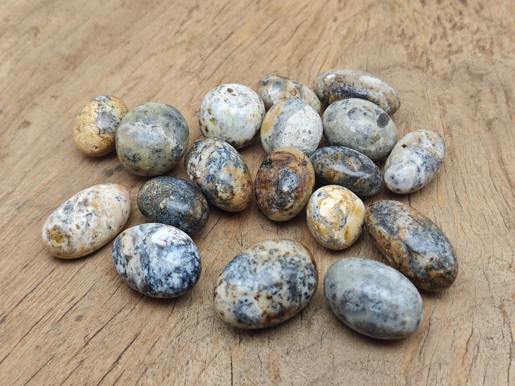 Cheetah Opal tumbled gemstone from Mexico, showcasing vibrant orange and black swirls in a smooth polished stone by GemstoneGO