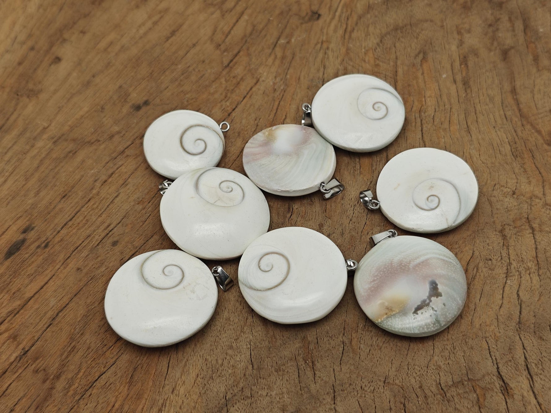 Shiva shell gemstone pendant from GemstoneGO featuring a polished shell with natural patterns on a silver chain.