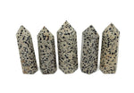 Dalmatian Jasper obelisk tower crystal from GemstoneGO, showing a tall, polished stone with black spots on a light background.