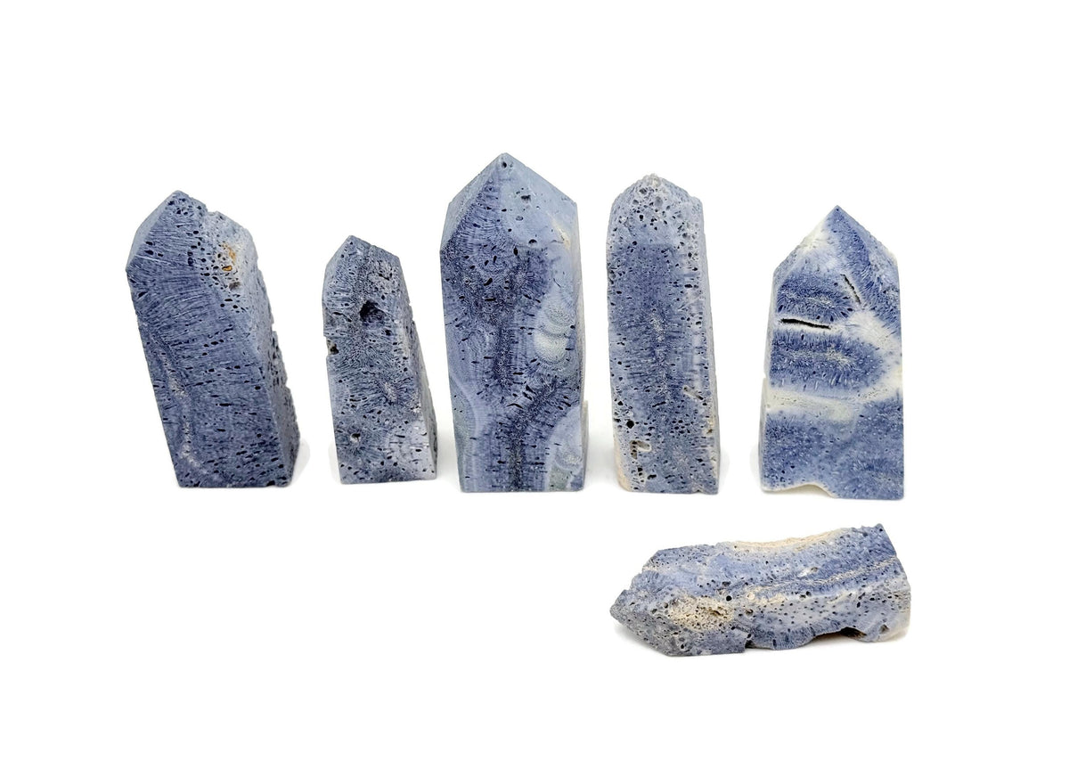Blue coral obelisk tower crystal from GemstoneGO, showing a tall, polished blue coral stone with natural textures and vibrant color.