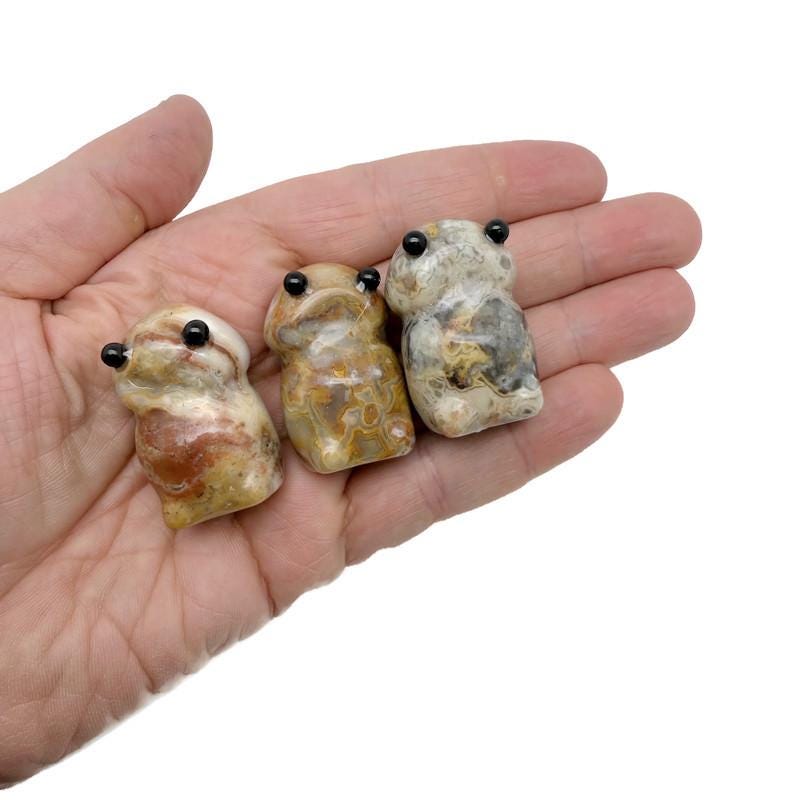 Handcrafted Crazy Lace Agate frog monster crystal carving with detailed gemstone features, from GemstoneGO.