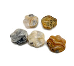 Crazy Lace Agate bear paw crystal carving, 30mm gemstone sculpture with intricate patterns and natural lacy agate details.