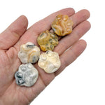 Crazy Lace Agate bear paw crystal carving from GemstoneGO, 30mm, featuring intricate lace patterns on a polished stone surface.