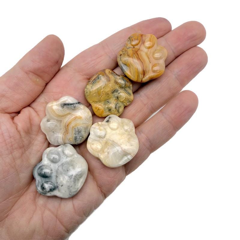 Crazy Lace Agate bear paw crystal carving from GemstoneGO, 30mm, featuring intricate lace patterns on a polished stone surface.