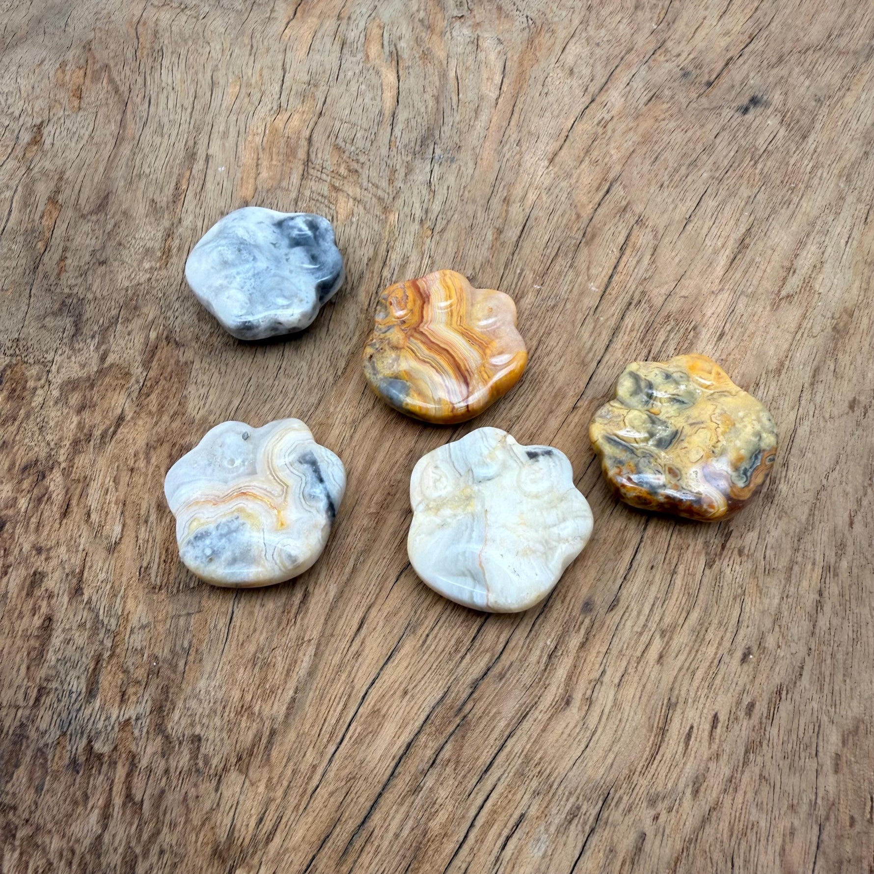 Crazy Lace Agate bear paw crystal carving from GemstoneGO, 30mm, featuring intricate lace-like patterns and natural gemstone details.