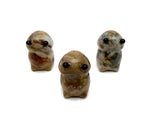 Handcrafted Crazy Lace Agate frog gemstone carving, detailed creature statue with vibrant banded patterns and smooth finish.