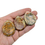 Smooth Crazy Lace Agate worry stone, 45mm, handcrafted crystal from GemstoneGO with intricate lace-like patterns for meditation and stress relief.
